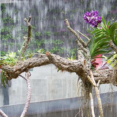 Miguel Angel Apartment Estepona