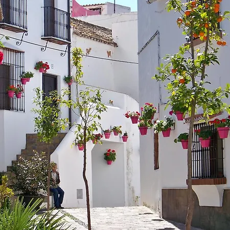 Apartment Miguel Angel Estepona