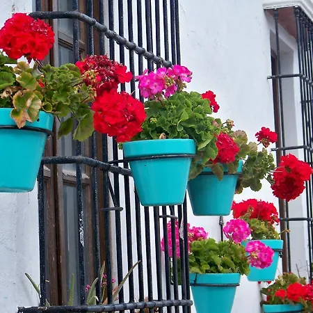 Miguel Angel Estepona