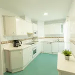 Miguel Angel Apartment Estepona