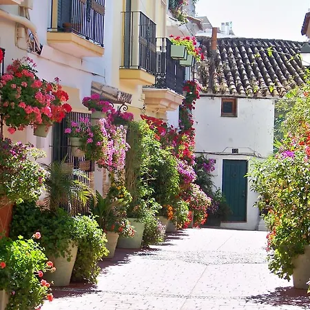 Miguel Angel Apartamento *